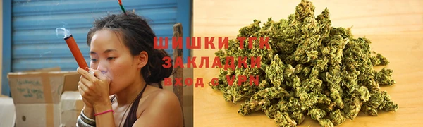 прущие грибы Аркадак