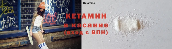 прущие грибы Аркадак