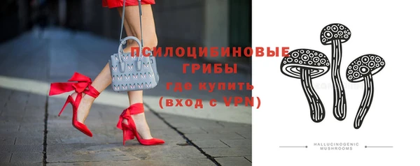прущие грибы Аркадак