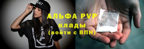 прущие грибы Аркадак