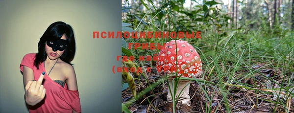 прущая мука Армянск