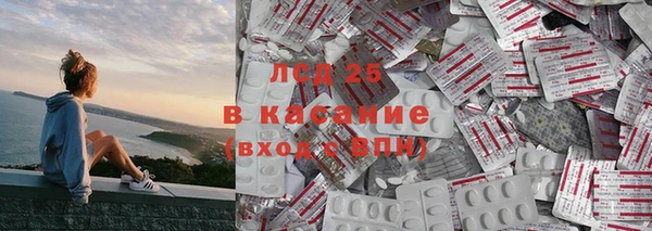 прущие грибы Аркадак