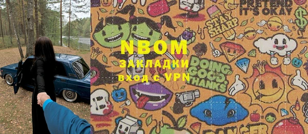 прущие грибы Аркадак
