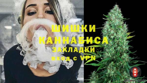 прущие грибы Аркадак