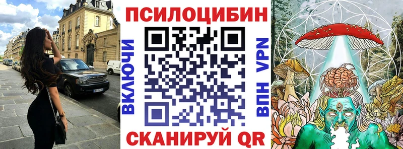 Псилоцибиновые грибы Magic Shrooms  купить   блэк спрут онион  Бабаево 